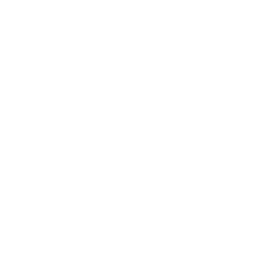 Ergonomia